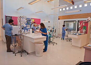 Albuquerque Veterinary Clinics Aztec Animal Clinic