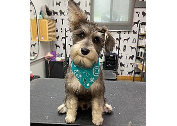 Jacksonville Pet Grooming BARK on PARK