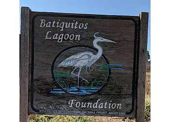 BATIQUITOS LAGOON FOUNDATION