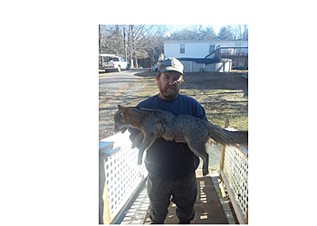 Alexandria Animal Removal BEDR Wildlife Removal