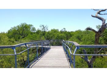 3 Best Hiking Trails In Mcallen Tx Expert Recommendations