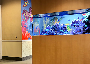 Clearwater Kids Dentists B. Gene Whitehead, DMD - BAY AREA SMILES