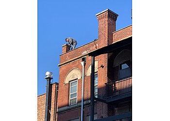 New York Chimney Sweep B&P Chimney