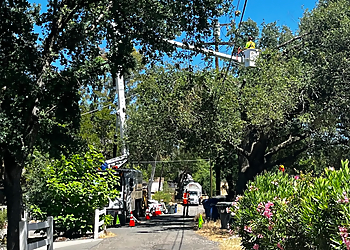 Sacramento Tree Services BP Tree Services LLC.
