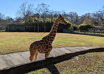 Baton Rouge Places To See BREC's Baton Rouge Zoo