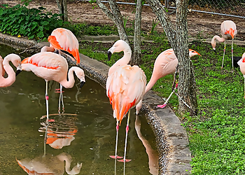 Baton Rouge Places To See BREC's Baton Rouge Zoo