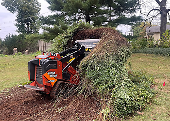 Lexington Tree Services B&R Tree Care