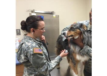 San Diego Veterinary Clinics B Street Veterinary Hospital