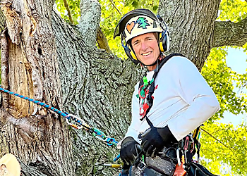 Evansville Tree Services BT Lawn & Tree Service