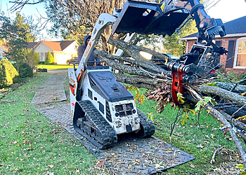 Evansville Tree Services BT Lawn & Tree Service