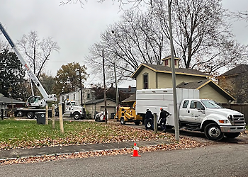 BT Lawn & Tree Service Evansville Tree Services image 1