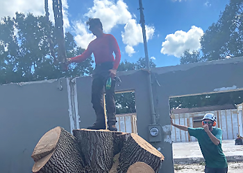 Clearwater Tree Services B&T's Tree Service