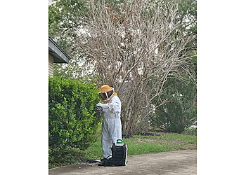 BUGWORKS Termite & Pest Control Company - Brownsville, TX Pest Control Companies - Service Image