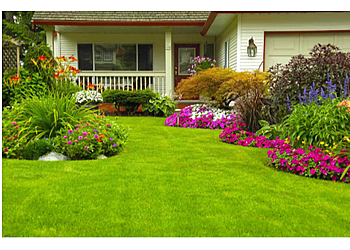 BV Lawn Care - Gilbert, AZ Lawn Care Services - Job Site Image
