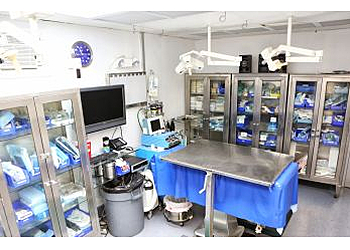 Newport Beach Veterinary Clinics Back Bay Veterinary Hospital