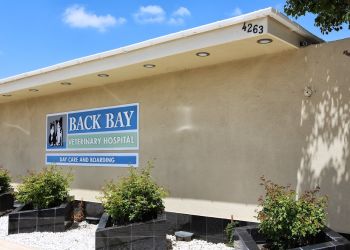 Back Bay Veterinary Hospital Newport Beach Veterinary Clinics