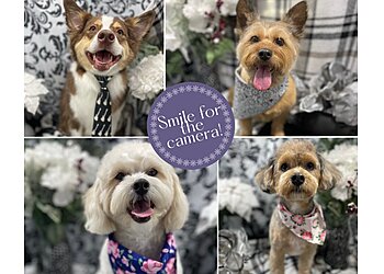 McKinney Dog Walkers Backyard Home & Pet Sitting