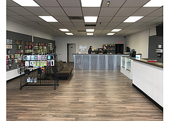 Salt Lake City Cell Phone Repair Bad Apple