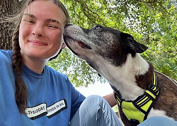 Jacksonville Dog Walkers Bad to The Bone Pet Care