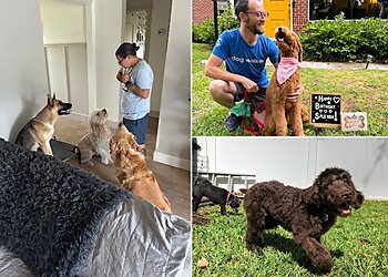 Jacksonville Dog Walkers Bad to The Bone Pet Care