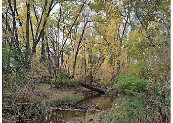 Green Bay Hiking Trails Baird Creek Dirt Trail