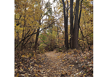 Green Bay Hiking Trails Baird Creek Dirt Trail