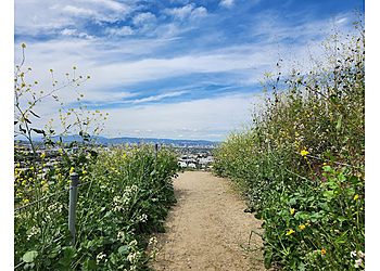 Inglewood Hiking Trails Baldwin Hills Scenic Overlook