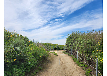 Inglewood Hiking Trails Baldwin Hills Scenic Overlook