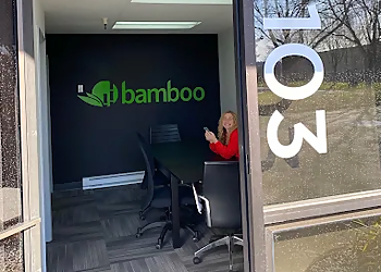 Kent Pest Control Companies Bamboo Pest Control and Mosquito