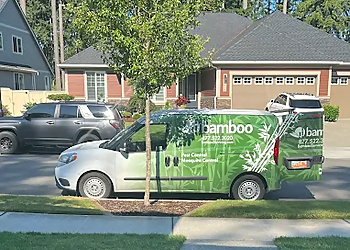 Bamboo Pest Control and Mosquito Kent Pest Control Companies image 1