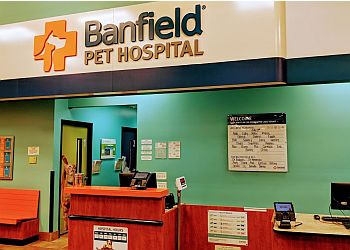 Oxnard veterinary clinic Banfield Pet Hospital