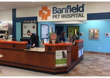 3 Best Veterinary Clinics in Salem, OR - Expert Recommendations