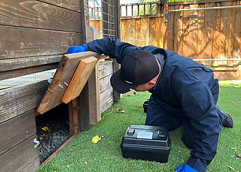 Oakland Pest Control Companies Banner Pest Services