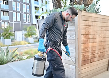 San Jose Pest Control Companies Banner Pest Services