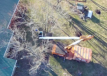 Murfreesboro Tree Services Barber's Tree Service