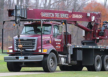 Barberton Tree Service Akron Tree Services image 1