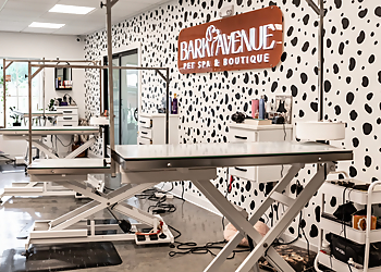 Lafayette Pet Grooming Bark Avenue