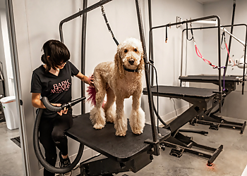 Lafayette Pet Grooming Bark Avenue