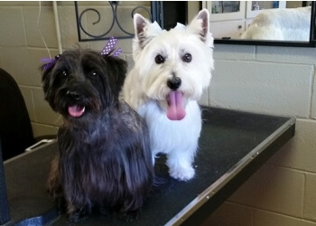 3 Best Pet Grooming in Topeka, KS - Expert Recommendations