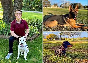 Minneapolis Dog Training Bark Busters Home Dog Training Minneapolis-St. Paul