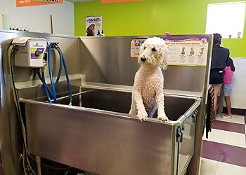 Phoenix Pet Grooming Bark If You’re Dirty