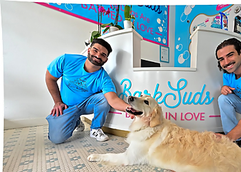 BarkSuds BarkSuds - Tampa, FL Pet Grooming - Service Image
