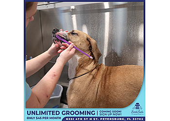 BarkSuds Saint Petersburg - St Petersburg, FL Pet Grooming - Field Work Image