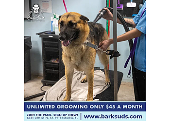 BarkSuds Saint Petersburg - St Petersburg, FL Pet Grooming - Service Highlights