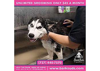 BarkSuds Saint Petersburg BarkSuds Saint Petersburg - St Petersburg, FL Pet Grooming - Service Image