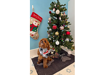 Washington Pet Grooming BarkSuds Washington
