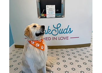 Washington Pet Grooming BarkSuds Washington