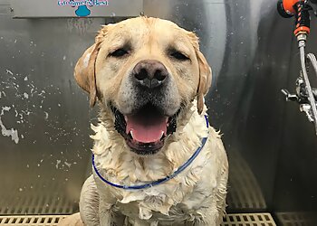 Indianapolis Pet Grooming Barkefellers