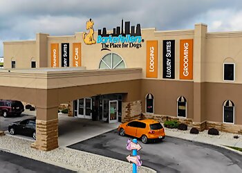 Barkefellers Indianapolis Pet Grooming image 1