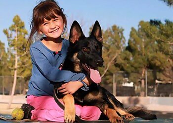 El Paso Dog Training Barker Haus Kennels